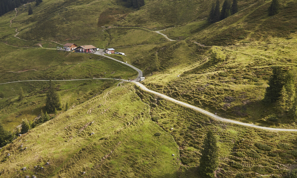 Rund um die Hacklbergalm gibt es viele Rad- und Wanderwege.